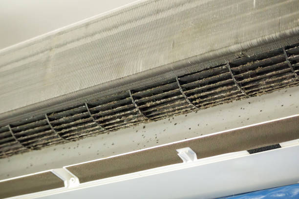Best Air Duct Sanitizing Services  in Crookston, MN